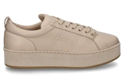 Damen Hogan Damen- Sneaker ALLACCIATO- conchiglia/beige