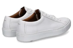 Herren Lloyd Sneaker ABEL MELODY WHITE