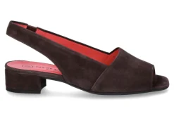 Damen Pas de rouge Sandale CAMOSCIO MORO (38½)
